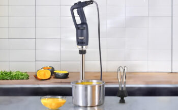 Immersion Blenders